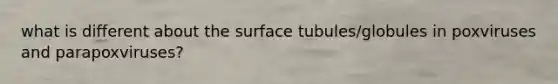 what is different about the surface tubules/globules in poxviruses and parapoxviruses?