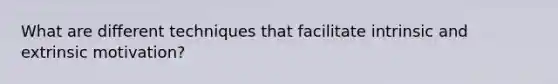 What are different techniques that facilitate intrinsic and extrinsic motivation?
