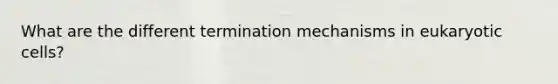 What are the different termination mechanisms in eukaryotic cells?