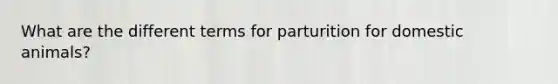 What are the different terms for parturition for domestic animals?