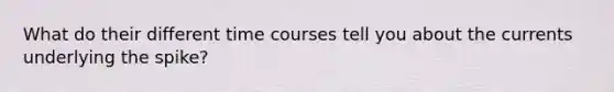 What do their different time courses tell you about the currents underlying the spike?