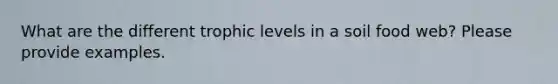 What are the different trophic levels in a soil food web? Please provide examples.