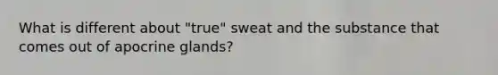 What is different about "true" sweat and the substance that comes out of apocrine glands?