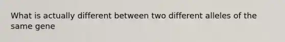 What is actually different between two different alleles of the same gene