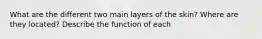 What are the different two main layers of the skin? Where are they located? Describe the function of each