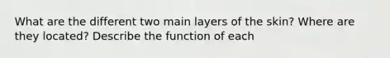 What are the different two main layers of the skin? Where are they located? Describe the function of each