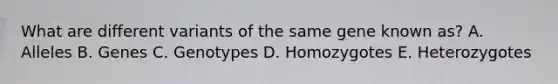 What are different variants of the same gene known as? A. Alleles B. Genes C. Genotypes D. Homozygotes E. Heterozygotes