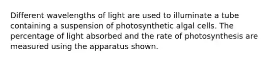 Different wavelengths of light are used to illuminate a tube containing a suspension of photosynthetic algal cells. The percentage of light absorbed and the rate of photosynthesis are measured using the apparatus shown.