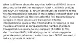 What is different about the way that NADH and FADH2 donate electrons to the electron transport chain? A. NADH is oxidized and FADH2 is reduced. B. NADH contributes its electrons to the first transmembrane complex in the electron transport chain and FADH2 contributes its electrons after the first transmembrane complex. C. More protons are transported into the intermembrane space of the mitochondria in response to one molecule of FADH2 as compared to the number of protons transported in response to one molecule of NADH. D. The electrons from NADH ultimately go on to reduce oxygen to generate water, whereas the electrons from FADH2 are used to reduce pyruvate to lactate.