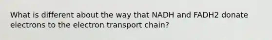 What is different about the way that NADH and FADH2 donate electrons to <a href='https://www.questionai.com/knowledge/k57oGBr0HP-the-electron-transport-chain' class='anchor-knowledge'>the electron transport chain</a>?