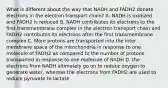 What is different about the way that NADH and FADH2 donate electrons in the electron transport chain? A. NADH is oxidized and FADH2 is reduced B. NADH contributes its electrons to the first transmembrane complex in the electron transport chain and FADH2 contributes its electrons after the first transmembrane complex C. More protons are transported into the inter membrane space of the mitochondria in response to one molecule of FADH2 as compared to the number of protons transported in response to one molecule of NADH D. the electrons from NADH ultimately go on to reduce oxygen to generate water, whereas the electrons from FADH2 are used to reduce pyruvate to lactate