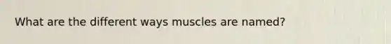 What are the different ways muscles are named?