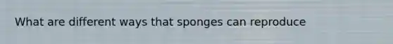 What are different ways that sponges can reproduce