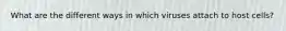 What are the different ways in which viruses attach to host cells?