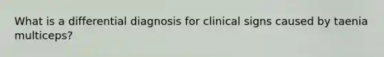 What is a differential diagnosis for clinical signs caused by taenia multiceps?