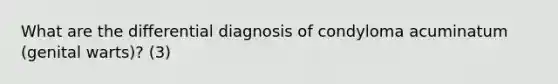 What are the differential diagnosis of condyloma acuminatum (genital warts)? (3)