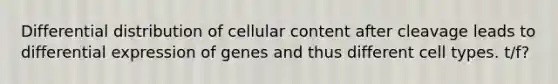 Differential distribution of cellular content after cleavage leads to differential expression of genes and thus different cell types. t/f?