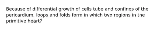 Because of differential growth of cells tube and confines of the pericardium, loops and folds form in which two regions in the primitive heart?