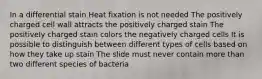 In a differential stain Heat fixation is not needed The positively charged cell wall attracts the positively charged stain The positively charged stain colors the negatively charged cells It is possible to distinguish between different types of cells based on how they take up stain The slide must never contain more than two different species of bacteria