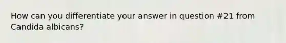 How can you differentiate your answer in question #21 from Candida albicans?