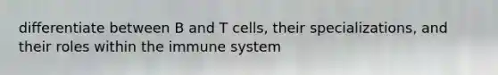 differentiate between B and T cells, their specializations, and their roles within the immune system