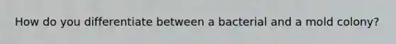 How do you differentiate between a bacterial and a mold colony?