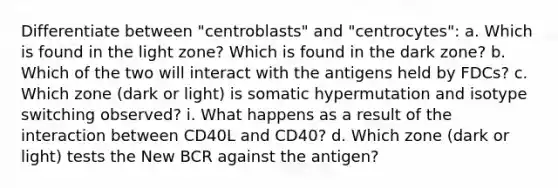 Differentiate between "centroblasts" and "centrocytes": a. Which is found in the light zone? Which is found in the dark zone? b. Which of the two will interact with the antigens held by FDCs? c. Which zone (dark or light) is somatic hypermutation and isotype switching observed? i. What happens as a result of the interaction between CD40L and CD40? d. Which zone (dark or light) tests the New BCR against the antigen?