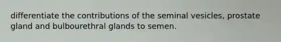 differentiate the contributions of the seminal vesicles, prostate gland and bulbourethral glands to semen.