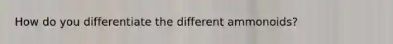 How do you differentiate the different ammonoids?