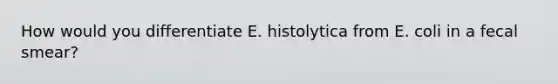 How would you differentiate E. histolytica from E. coli in a fecal smear?