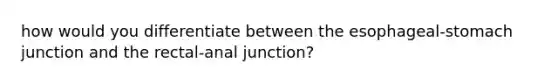 how would you differentiate between the esophageal-stomach junction and the rectal-anal junction?