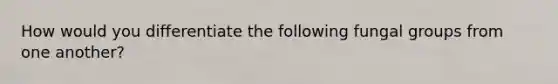 How would you differentiate the following fungal groups from one another?