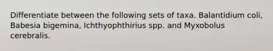 Differentiate between the following sets of taxa. Balantidium coli, Babesia bigemina, Ichthyophthirius spp. and Myxobolus cerebralis.