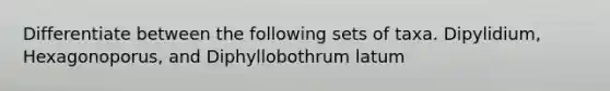 Differentiate between the following sets of taxa. Dipylidium, Hexagonoporus, and Diphyllobothrum latum