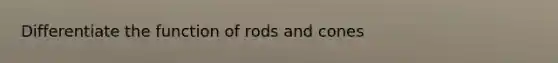 Differentiate the function of rods and cones