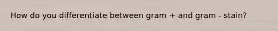 How do you differentiate between gram + and gram - stain?