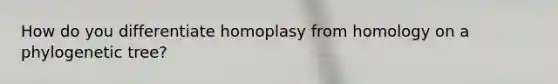 How do you differentiate homoplasy from homology on a phylogenetic tree?