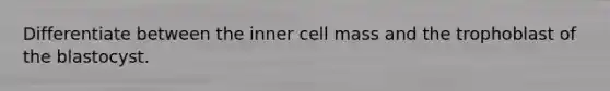 Differentiate between the inner cell mass and the trophoblast of the blastocyst.