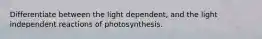 Differentiate between the light dependent, and the light independent reactions of photosynthesis.