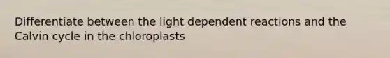 Differentiate between the light dependent reactions and the Calvin cycle in the chloroplasts