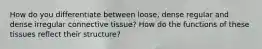 How do you differentiate between loose, dense regular and dense irregular connective tissue? How do the functions of these tissues reflect their structure?