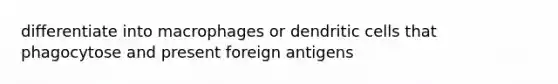 differentiate into macrophages or dendritic cells that phagocytose and present foreign antigens