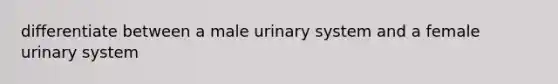 differentiate between a male urinary system and a female urinary system