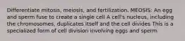 Differentiate mitosis, meiosis, and fertilization. MEOSIS: An egg and sperm fuse to create a single cell A cell's nucleus, including the chromosomes, duplicates itself and the cell divides This is a specialized form of cell division involving eggs and sperm