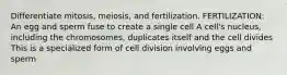 Differentiate mitosis, meiosis, and fertilization. FERTILIZATION: An egg and sperm fuse to create a single cell A cell's nucleus, including the chromosomes, duplicates itself and the cell divides This is a specialized form of cell division involving eggs and sperm