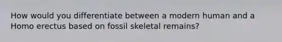 How would you differentiate between a modern human and a Homo erectus based on fossil skeletal remains?