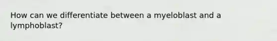 How can we differentiate between a myeloblast and a lymphoblast?