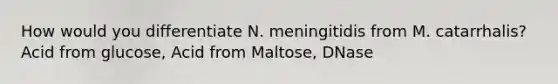 How would you differentiate N. meningitidis from M. catarrhalis? Acid from glucose, Acid from Maltose, DNase