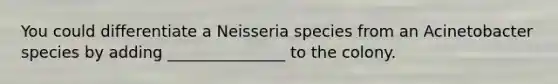 You could differentiate a Neisseria species from an Acinetobacter species by adding _______________ to the colony.