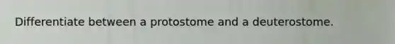 Differentiate between a protostome and a deuterostome.